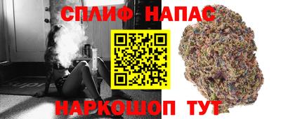 СК Кандалакша