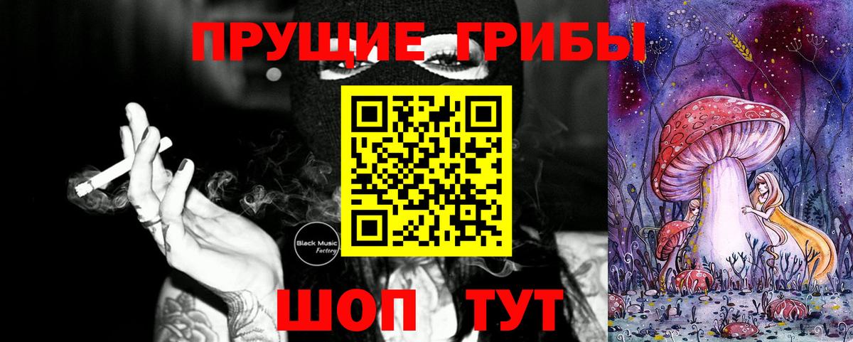 Елизово  Галлюциногенные грибы Psilocybine cubensis  Вход с VPN 