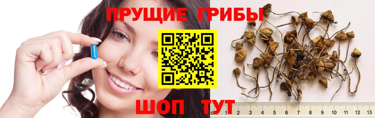Галлюциногенные грибы мицелий Елизово